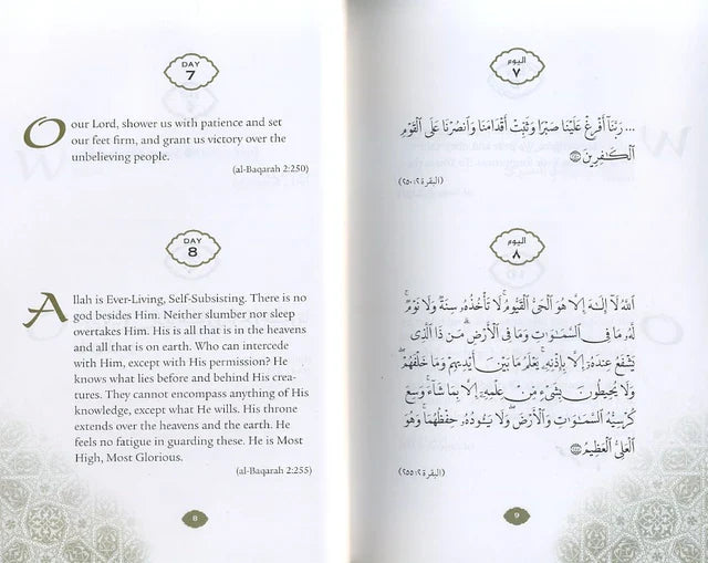 Daily Wisdom: Islamic Prayers and Supplications